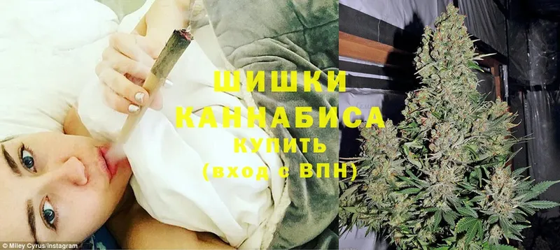 Конопля OG Kush  Тырныауз 